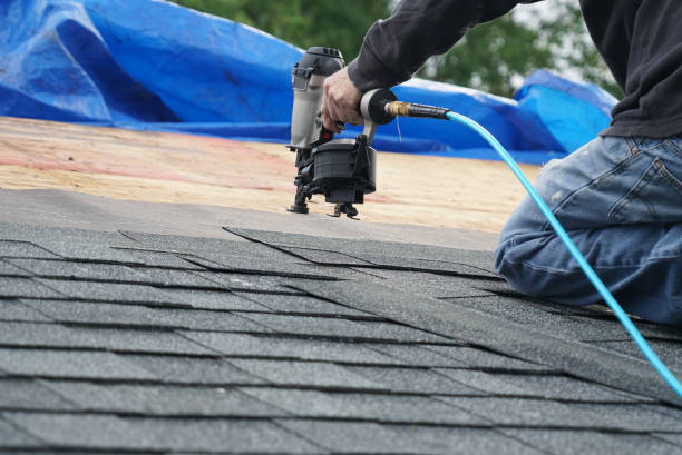 Best Roof Gutter Cleaning  in Brandon, MS